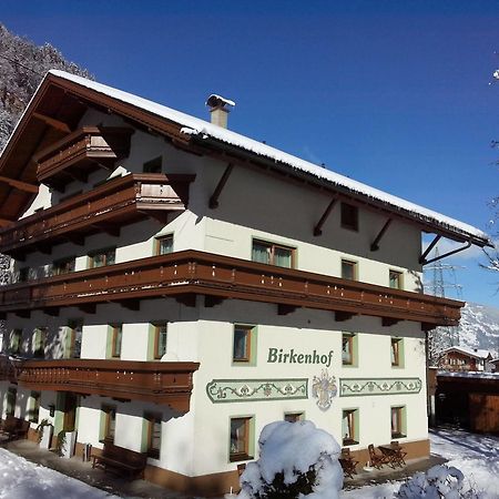 Pension Birkenhof Mayrhofen Exterior foto